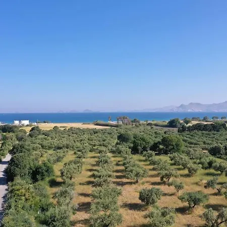 Peleziki * Kos Town