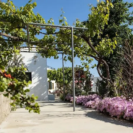 Peleziki * Kos Town